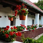 Ven Diofa Kuria Balaton