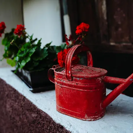 Εξοχικό σπίτι Ven Diofa Kuria *