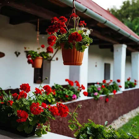 Vén Diófa Kúria Balaton