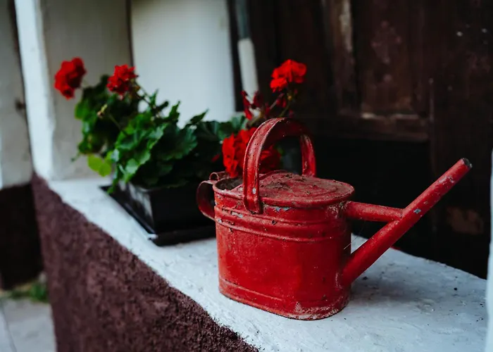 בית כפרי Ven Diofa Kuria *