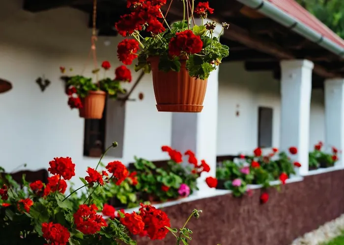 Vén Diófa Kúria Balaton